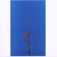 Newsom, Joanna Ep -3tr-