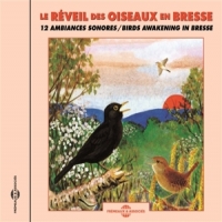 Sons De La Nature Le Reveil Des Oiseaux En Bresse - B