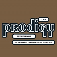 Prodigy Experience -expanded-