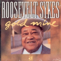 Sykes, Roosevelt Gold Mine