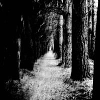 Stray Theories Falter