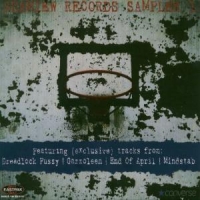 Various Seamiew Records Sampler