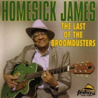Homesick James Last Of The Broomdusters