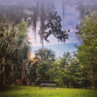 50 Foot Wave Black Pearl