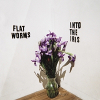 Flat Worms Into The Iris