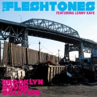 Fleshtones Brooklyn Sound Solution