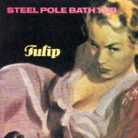 Steel Pole Bath Tub Tulip