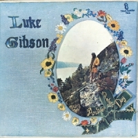 Luke Gibson Another Perfect Day