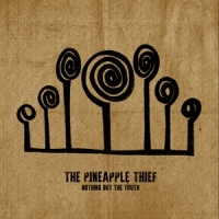 Pineapple Thief Nothing But The Truth