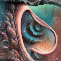 Pink Floyd.=tribute= Meddle Reimagined