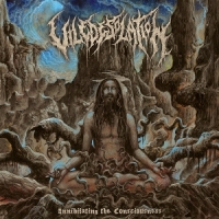 Vile Desolation Annihilating The Consciousness