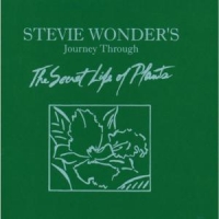 Wonder, Stevie Journey Through The Secret Life