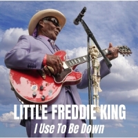 Little Freddie King I Used To Be Down