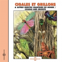 Sons De La Nature Cigales, Grillons & Autres Insectes