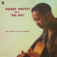 Waters, Muddy Sings Big Bill Broonzy