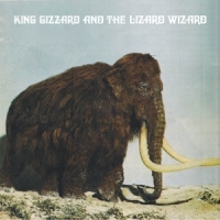 King Gizzard And The Lizard Wizard Polygondwanaland -coloured-