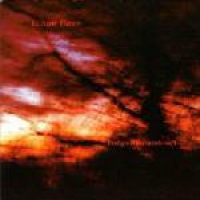 Colour Haze Ewige Blumenkraft