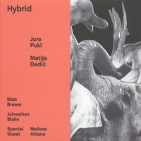 Pukl, Jure & Matija Dedic Hybrid