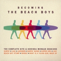 Beach Boys Becoming The Beach Boys