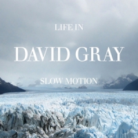Gray, David Life In Slow Motion