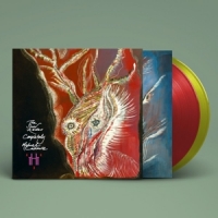 Cashmore, Michael The Snow Abides Completely -coloured-