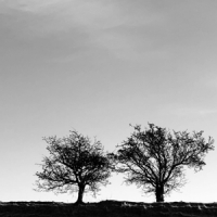 Allen, Jon A Heightened Sense Of Everything