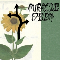 Miracle Debt Under The Shadow
