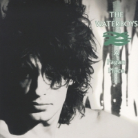 Waterboys, The A Pagan Place