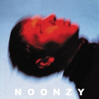 Noonzy Plan Is Bad