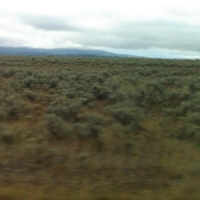 Caroline Says 50.000.000 Elvis Fans Can T Be Wron