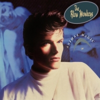 Blow Monkeys, The Animal Magic