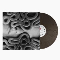 Loki Project Game Of Life -coloured-