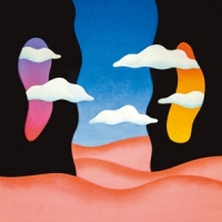 Talk West Black Coral Sprig