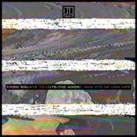 Low Life From Squats To Lots  The Agony And