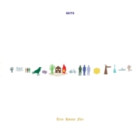 Nits Tree House Fire