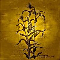 Wovenhand Laughing Stalk