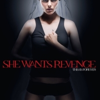 She Wants Revenge This Is Forever