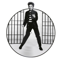Presley, Elvis Jailhouse Rock -picture Disc-