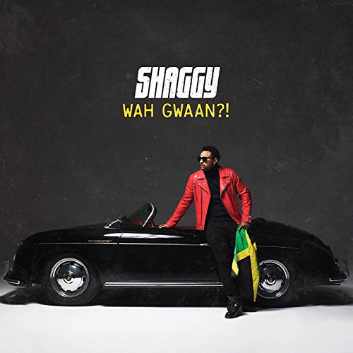 Shaggy Wah Gwaan !