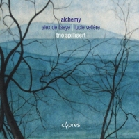 Trio Spilliaert Alchemy: Alex De Taeye & Lucie Vellere