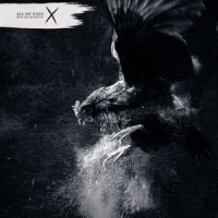 All My Eyes From The Hen House