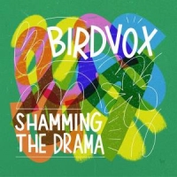 Birdvox Shamming The Drama -coloured-