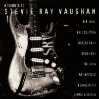 Vaughan, Stevie Ray Tribute To