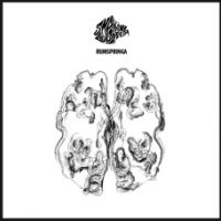 Shaking Godspeed Rumspringa