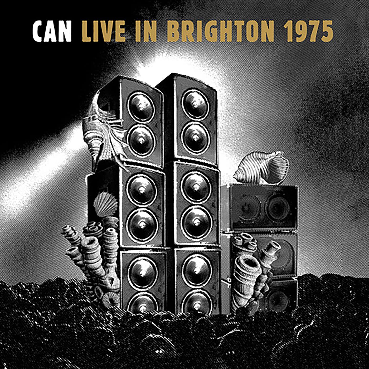 Can Live In Brighton 1975