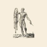 English, Lawrence Observation Of Breath