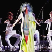 Bjork Vulnicura Strings