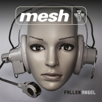 Mesh Fallen Angel