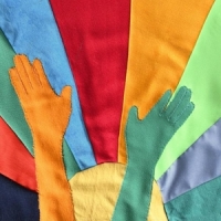 Le Millipede Legs And Birds