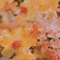 Nash, Johnny & Teguh Permana Poe